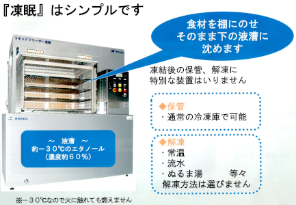 凍眠（TOMIN）Liquid Freezing