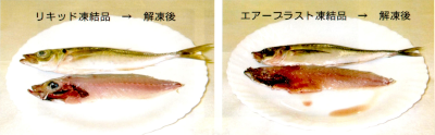 凍眠 特徴 品質(魚)